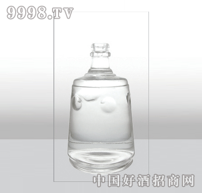 ZH-213߰ײƿ500ml-еװϢ