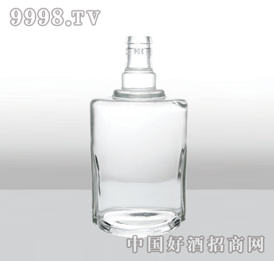 ZH-205߰ײƿ500ml-еװϢ