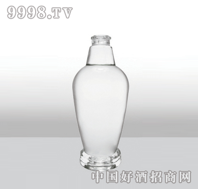 ZH-208߰ײƿ500ml-еװϢ