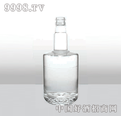 ZH-189߰ײƿ500ml-еװϢ