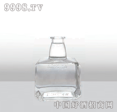 ZH-166߰ײƿ500ml-еװϢ