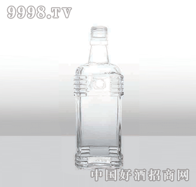 ZH-161߰ײƿ500ml-еװϢ