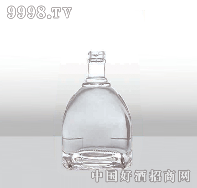 ZH-154߰ײƿ500ml-еװϢ