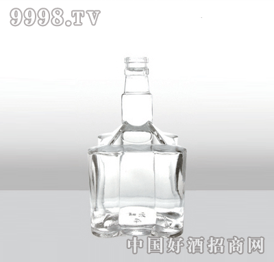 ZH-133߰ײƿ500ml-еװϢ