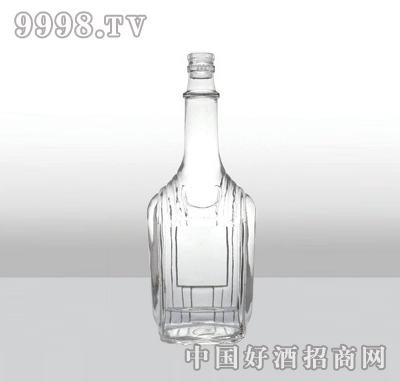 ZH-136߰ײƿ500ml-еװϢ