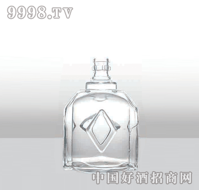 ZH-118߰ײƿ500ml-еװϢ