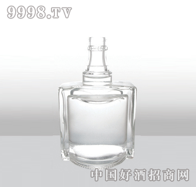 ZH-102߰ײƿ500ml-еװϢ