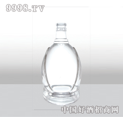 YC-G-488-1-480ml߰׾ƿ