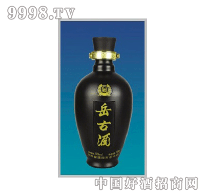 XY-520Ϳƿ500ml-еװϢ