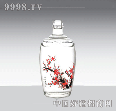 BL-JP293׾ƿϵ500ml