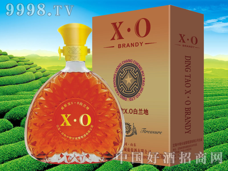 xo 700ml-Ϣ