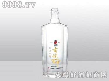 Ǹ߰ϲƿYT-171-500ml-еװϢ