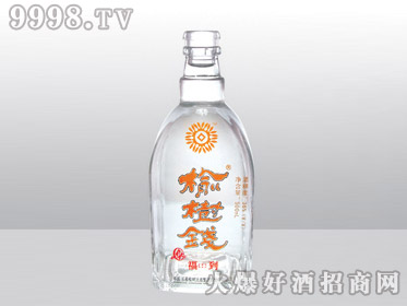 Ǹ߰ϲƿǮYT-163-500ml