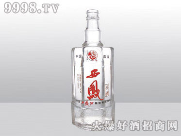 Ǹ߰ϲƿϲYT-153-500ml-еװϢ