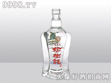 Ǹ߰ϲƿǮYT-018-500ml-еװϢ