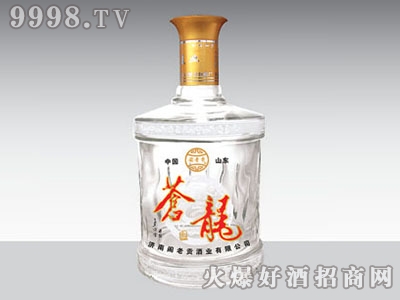 ݻ̩ƿGB-143 500ml