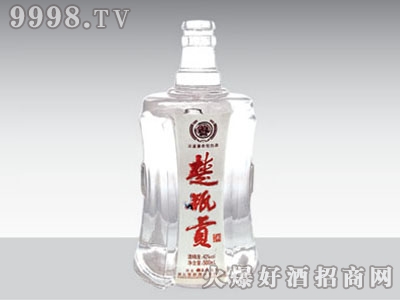 ݻ̩ƿƿGB-003 500ml