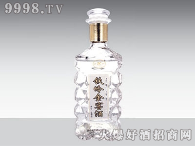 ݻ̩ƿGB-006 500ml-еװϢ