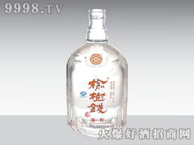 ݻ̩ƿǮGB-052 500ml-еװϢ