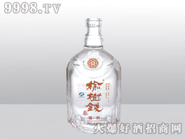 ¸߰ϲƿǮHA-090-500ml-еװϢ