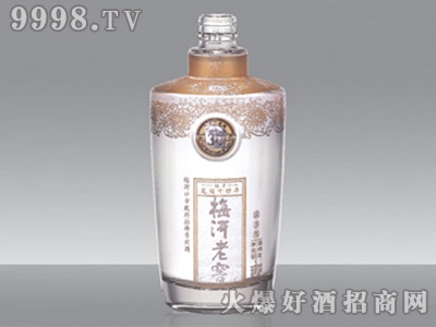 ƿ÷ϽJPJ-016-500ml-еװϢ