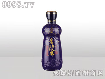 ̩ͿͿƿ괺C043-500ml-еװϢ