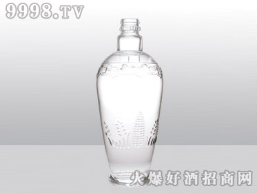 ǰ߰ϲƿѲYT-169-500ml-еװϢ