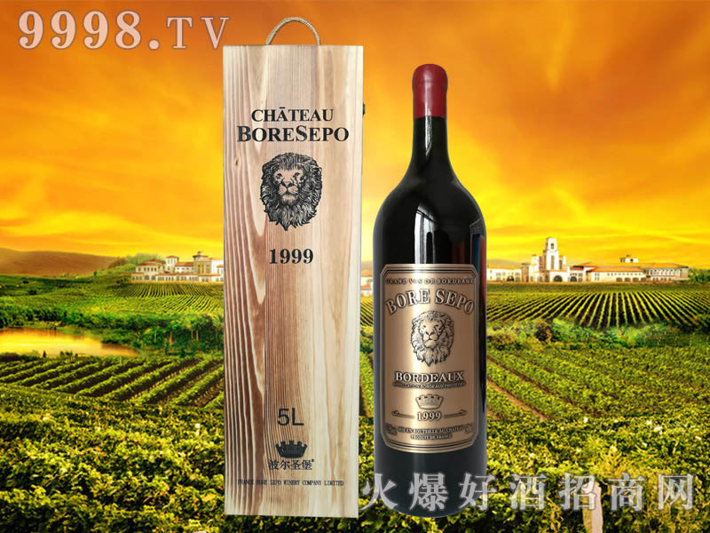 波尔圣堡干红葡萄酒狮王1999 5L|法国波尔圣堡