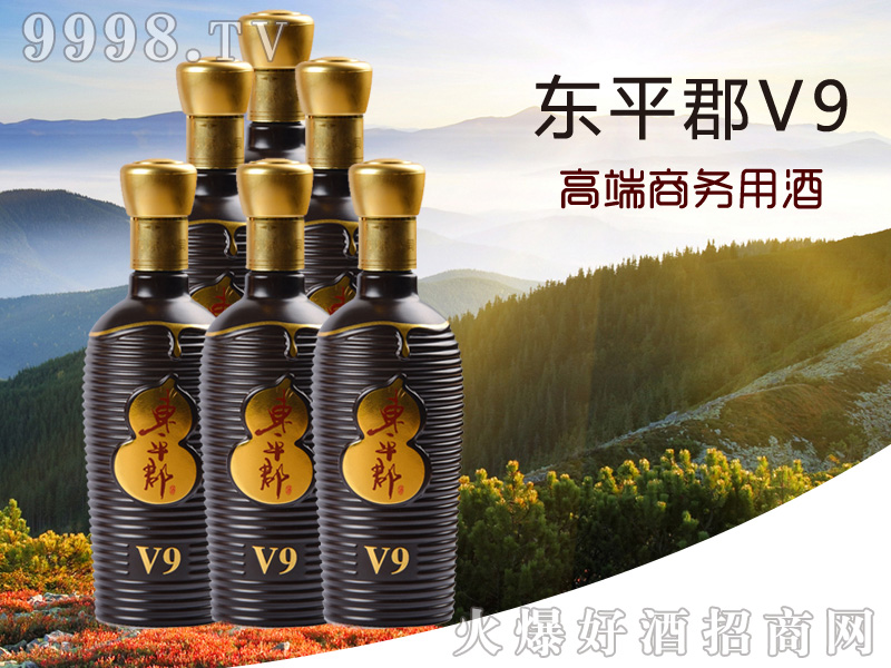 东平郡酒v9 39度500ml浓香型白酒|山东东平郡酒业有限公司-白酒招商