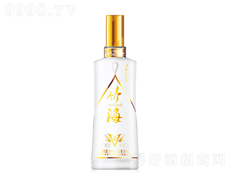 񺣾V6 Ũ͡38500ml-׾Ϣ