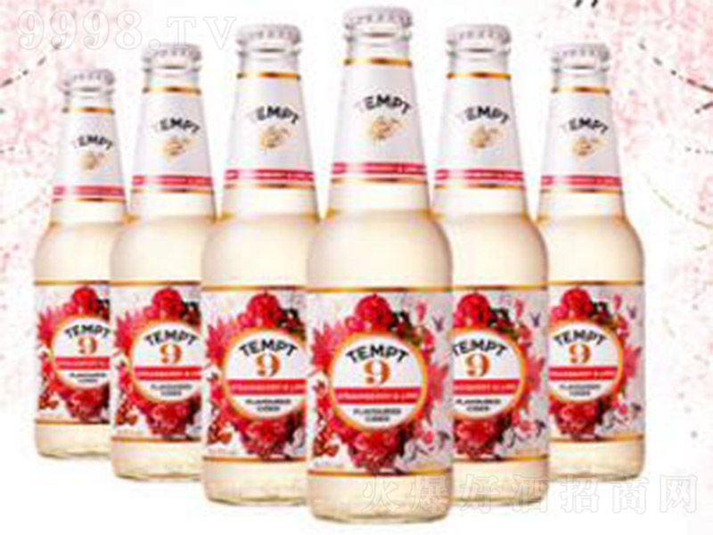 TEMPT-CIDERջ9š4330ml