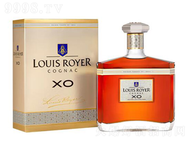 ·үXOذ1000ml-Ϣ