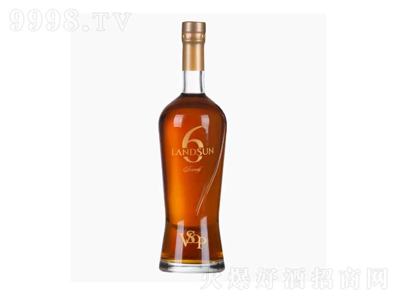 ɽׯ԰landsunϵ6VSOP40700ml-Ϣ