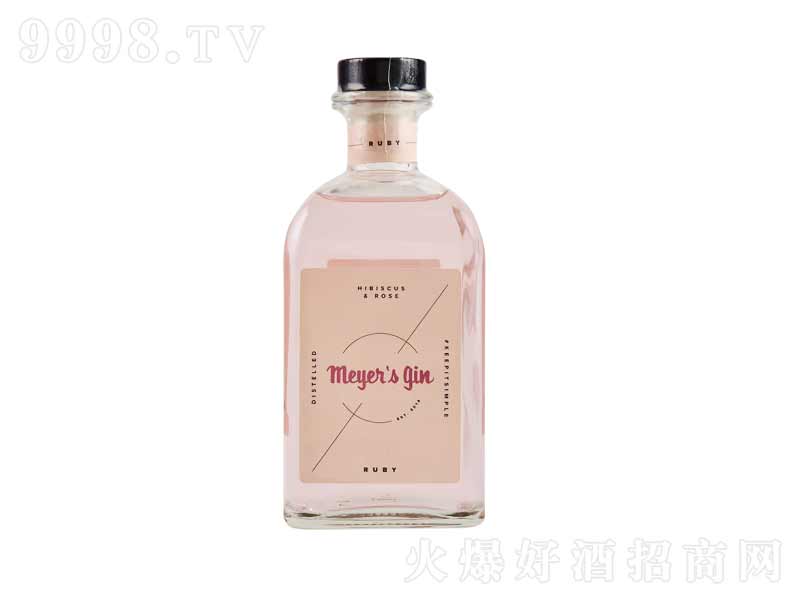 Gin÷Ү챦ʯ500ml-βϢ