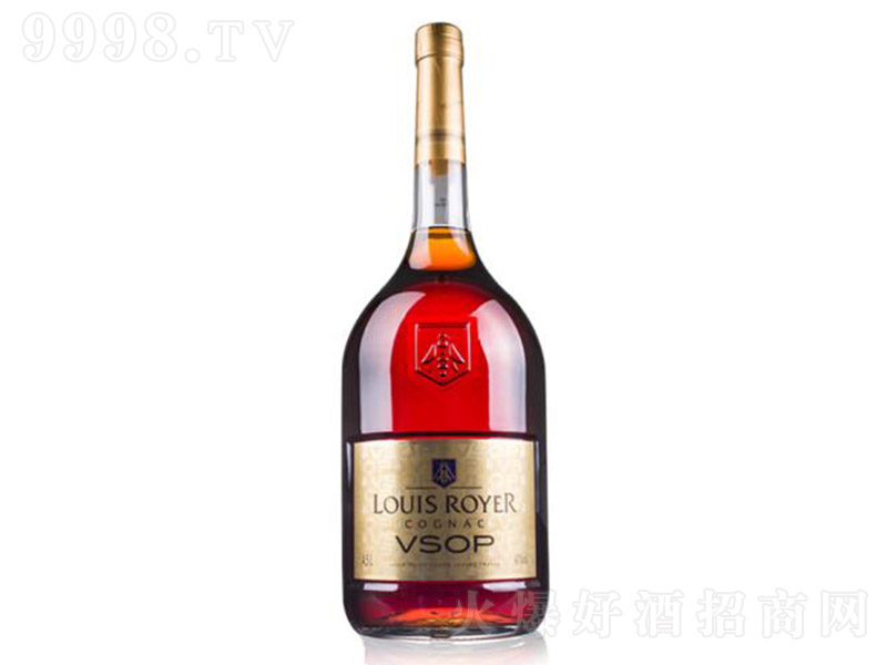 ·үVSOP4500ml-Ϣ