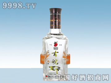 HTA-113ƿ500ml