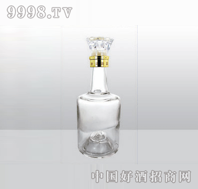 SL-G-037߰ײƿ500ml