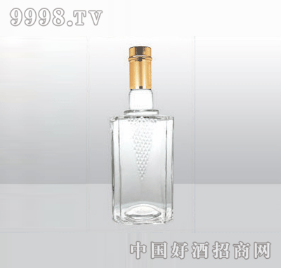 SL-G-055߰ײƿ500ml