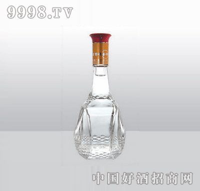 SL-G-162߰ײƿ700ml