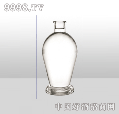 SL-G-206߰ײƿ500ml