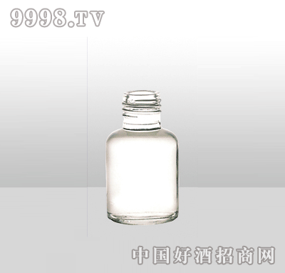 SL-G-232߰ײƿ500ml