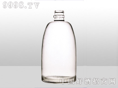 ZH-041ƿ500ml