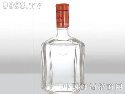 ZH-099ƿ500ml