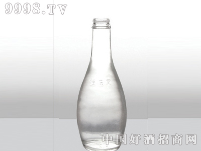 ZH-104ƿ500ml