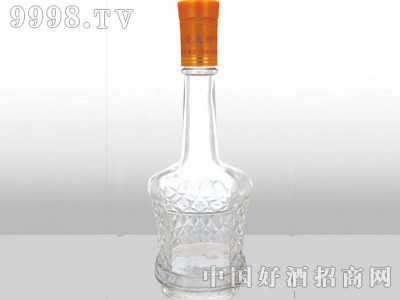 ZH-105ƿ500ml