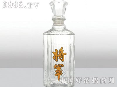 ZH-118ƿ500ml