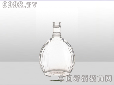 ZH-ZD-477ƿ500ml