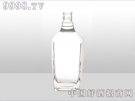 ZH-ZD-478ƿ500ml