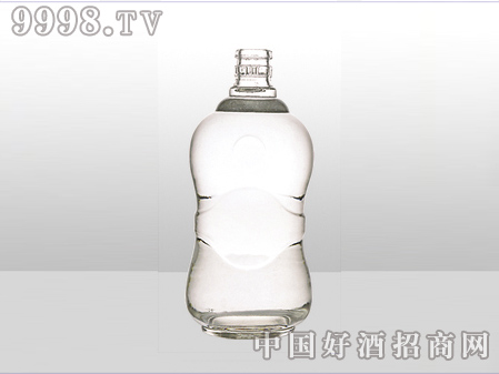 ZH-ZD-489ƿ500ml