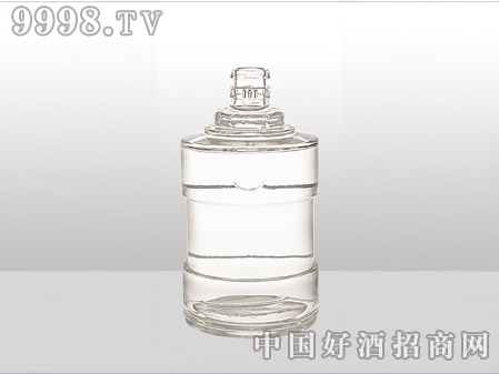 ZH-ZD-527ƿ500ml